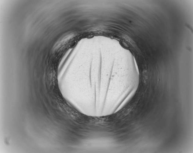 X0000101651111200807311407