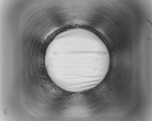 X0000101651112200807311407