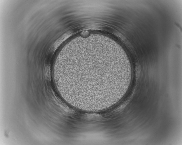 X0000101651113200807311407