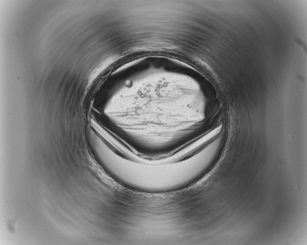 X0000101651114200807311407