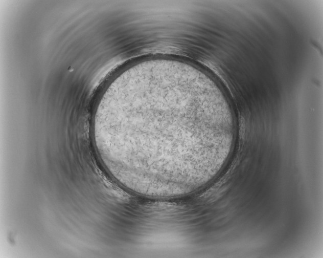 X0000101651115200807311407