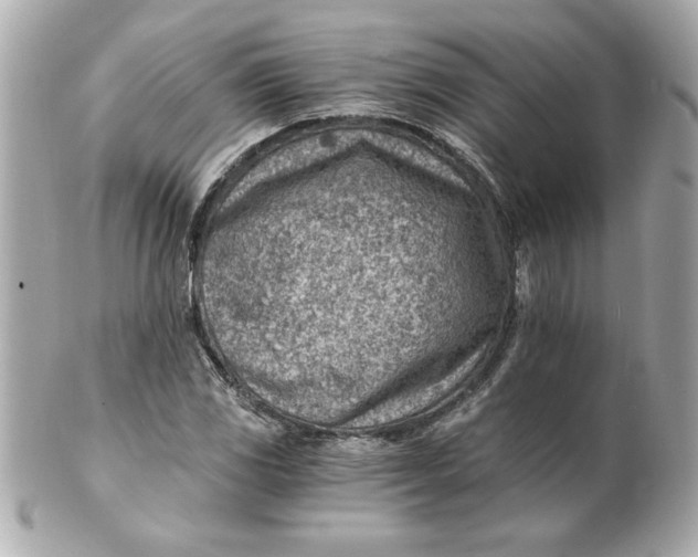 X0000101651117200807311407