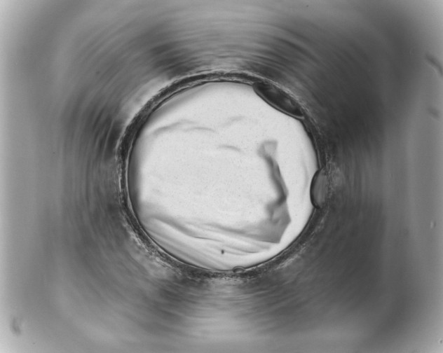 X0000101651118200807311407