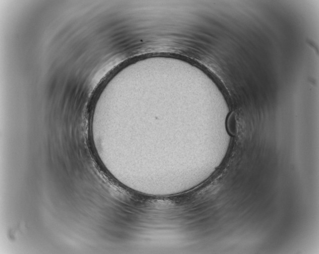 X0000101651119200807311407
