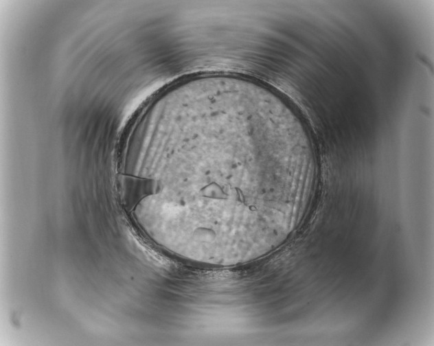 X0000101651120200807311407