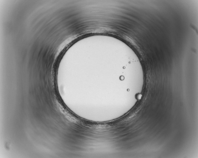X0000101651122200807311407