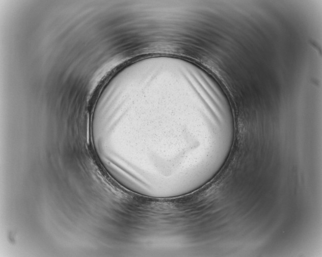 X0000101651123200807311407