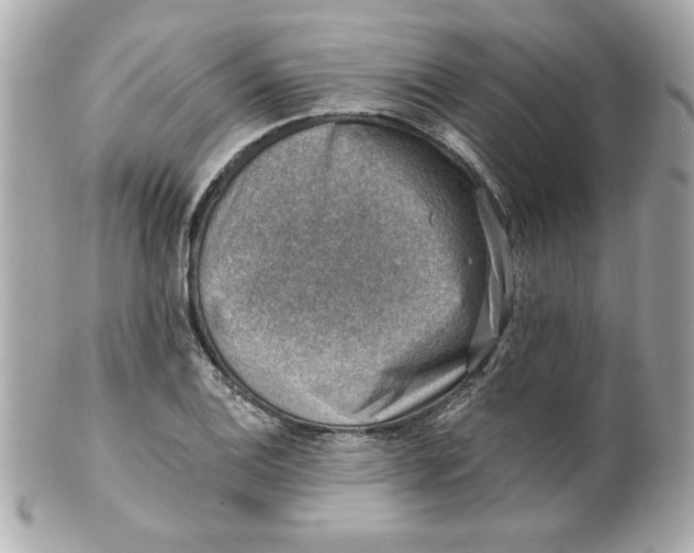 X0000101651124200807311407