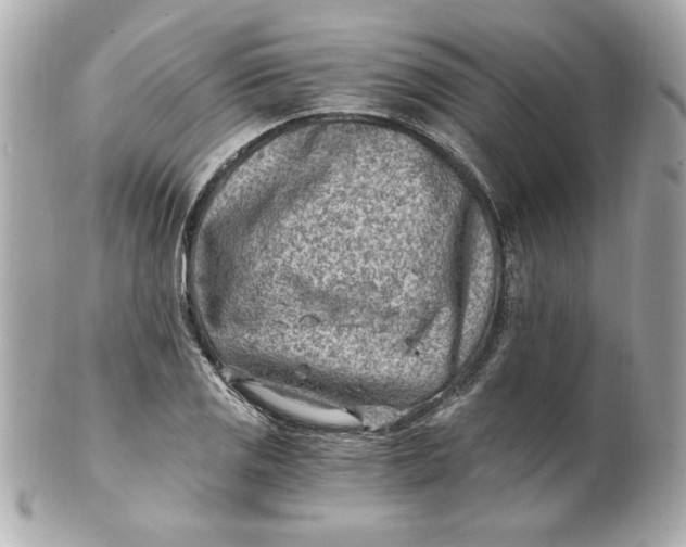 X0000101651125200807311407