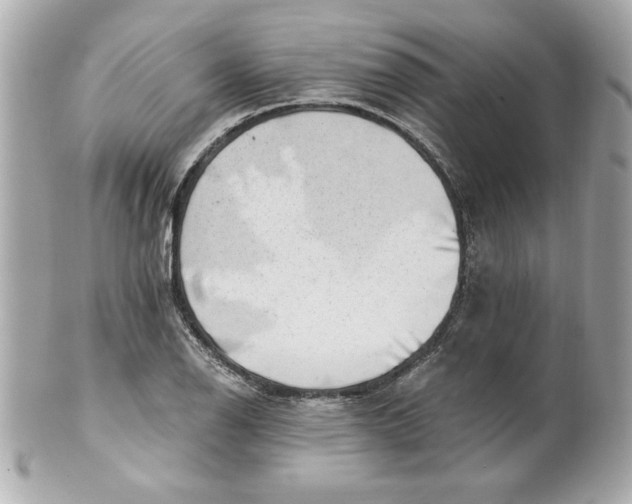 X0000101651126200807311407