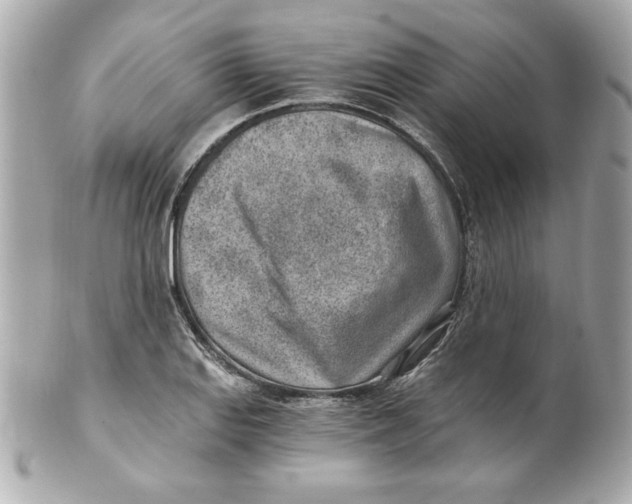 X0000101651127200807311407
