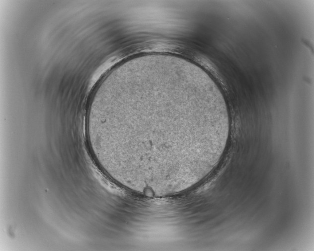 X0000101651130200807311407