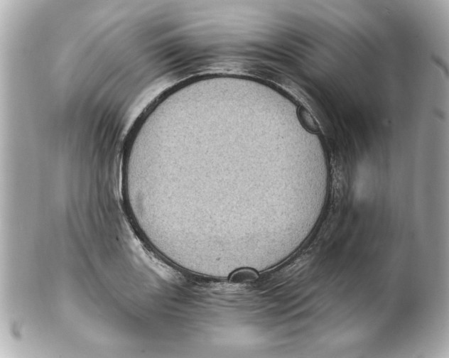 X0000101651131200807311407