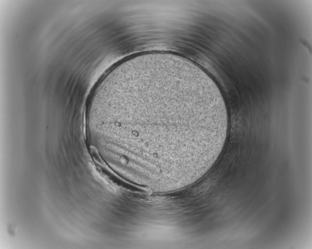 X0000101651132200807311407