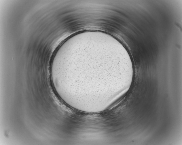 X0000101651133200807311407