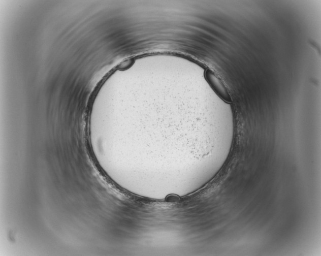X0000101651134200807311407