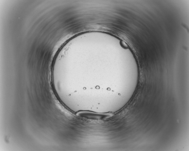 X0000101651136200807311407