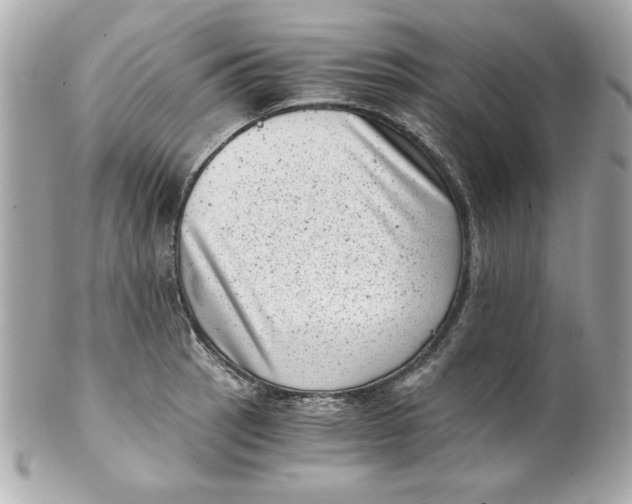 X0000101651137200807311407