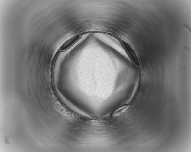 X0000101651138200807311407