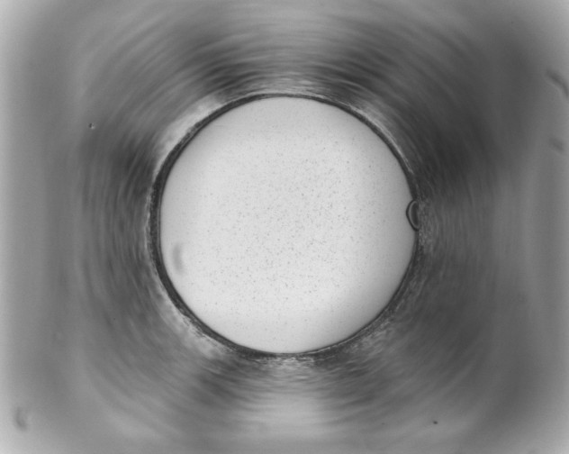 X0000101651139200807311407