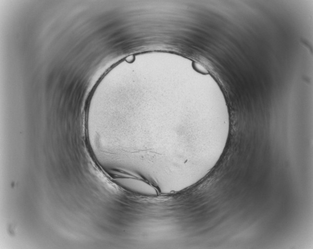 X0000101651140200807311407