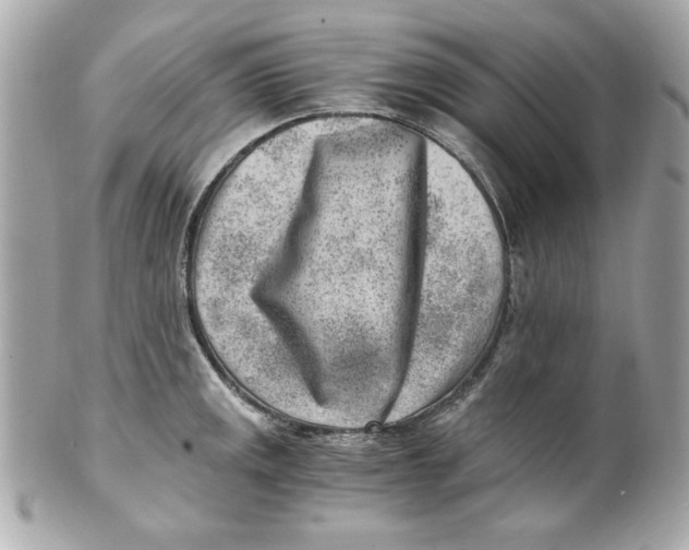 X0000101651141200807311407