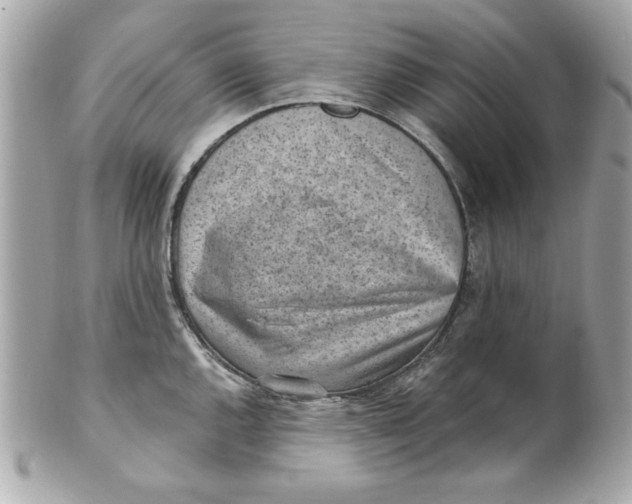 X0000101651144200807311408