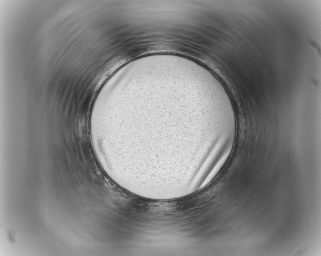 X0000101651145200807311408