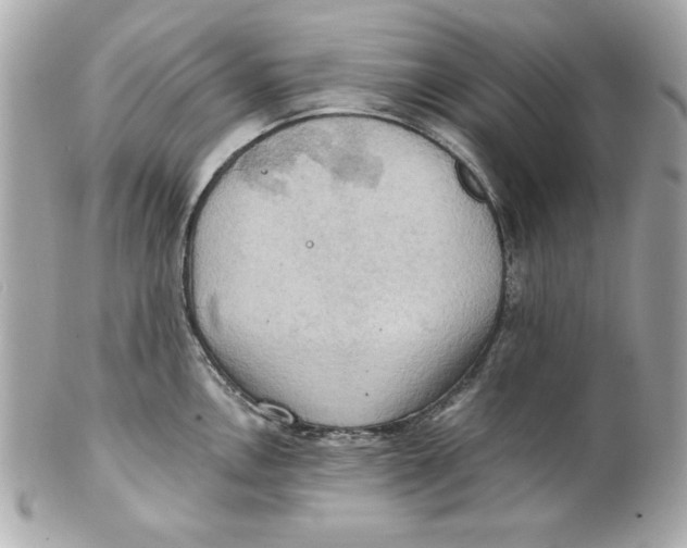 X0000101651146200807311408