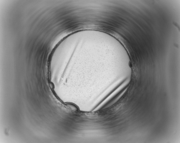 X0000101651147200807311408