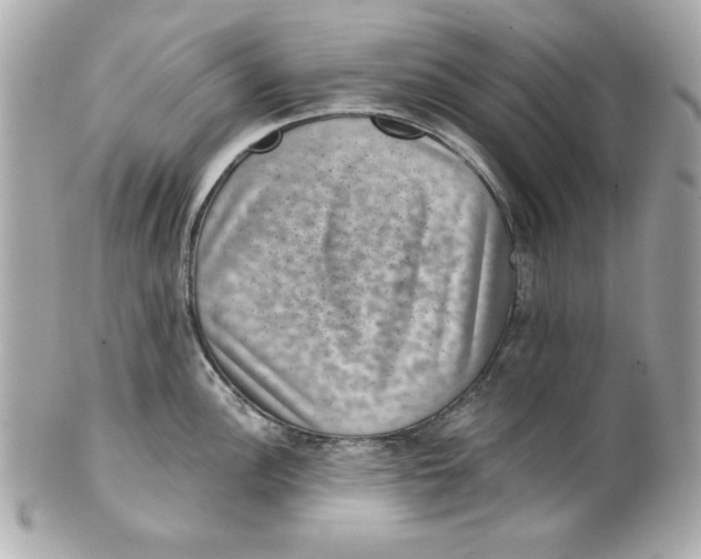 X0000101651148200807311408