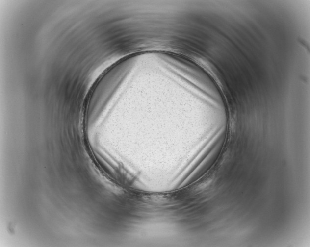 X0000101651149200807311408