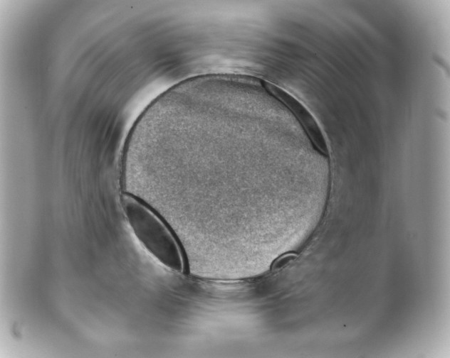 X0000101651152200807311408