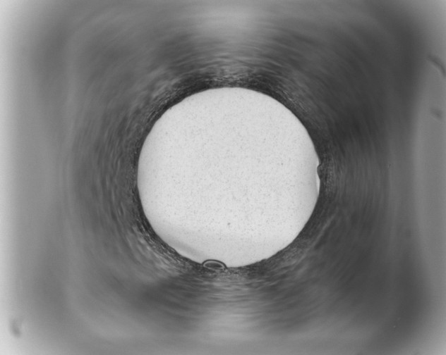 X0000101651153200807311407
