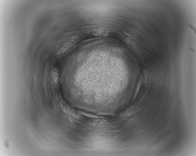 X0000101651154200807311407