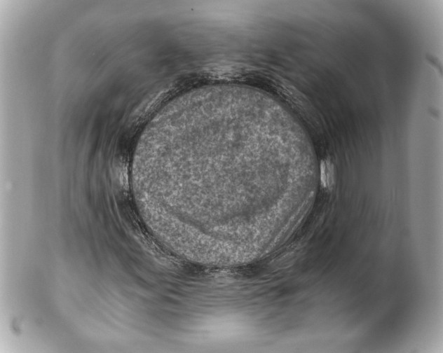 X0000101651155200807311407