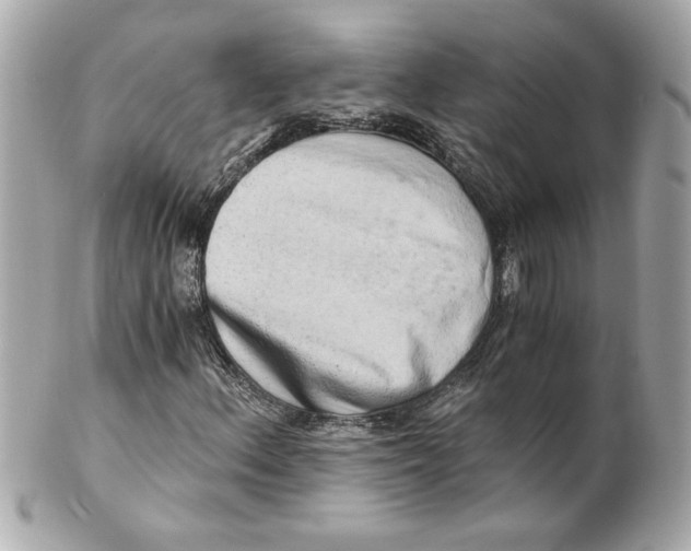 X0000101651156200807311407