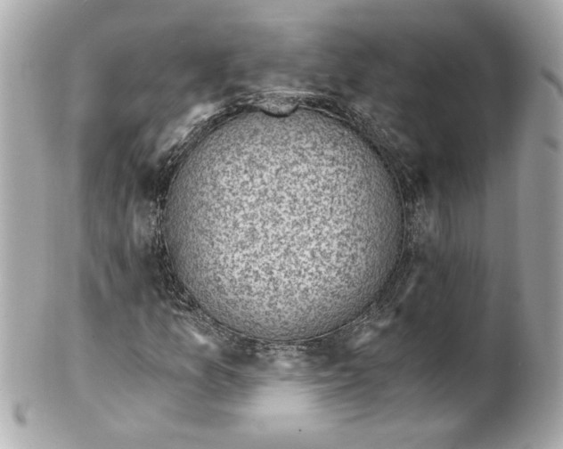 X0000101651157200807311407