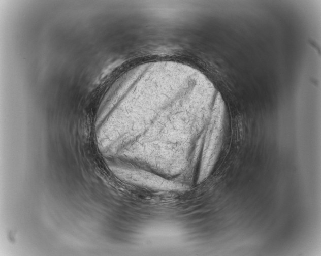 X0000101651158200807311407