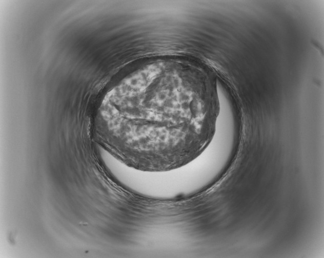 X0000101651161200807311407