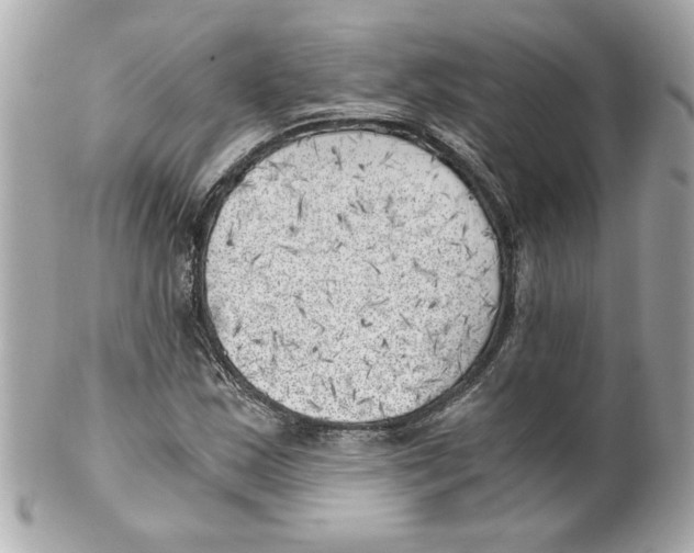 X0000101651163200807311407