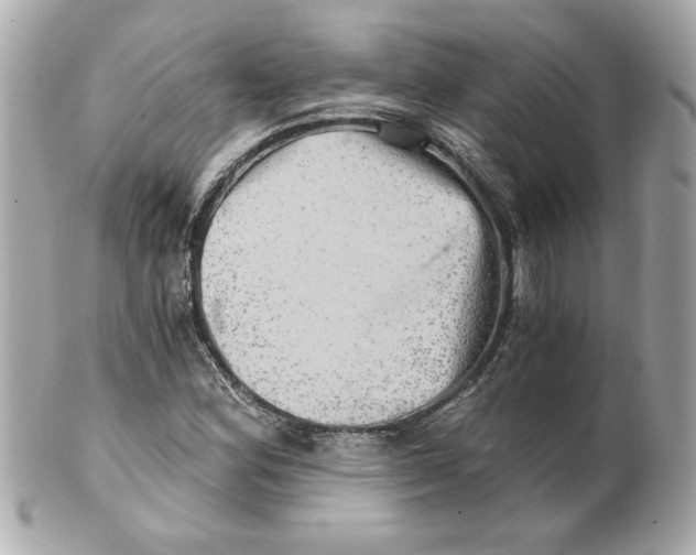 X0000101651164200807311407