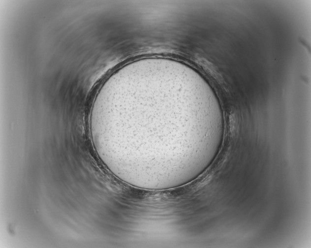 X0000101651165200807311407