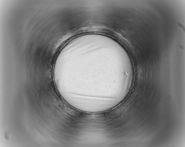 X0000101651166200807311407