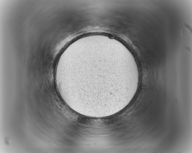 X0000101651167200807311407