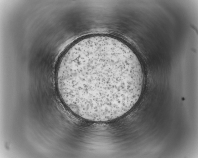 X0000101651168200807311407