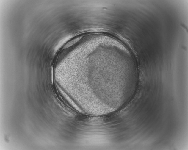 X0000101651171200807311407