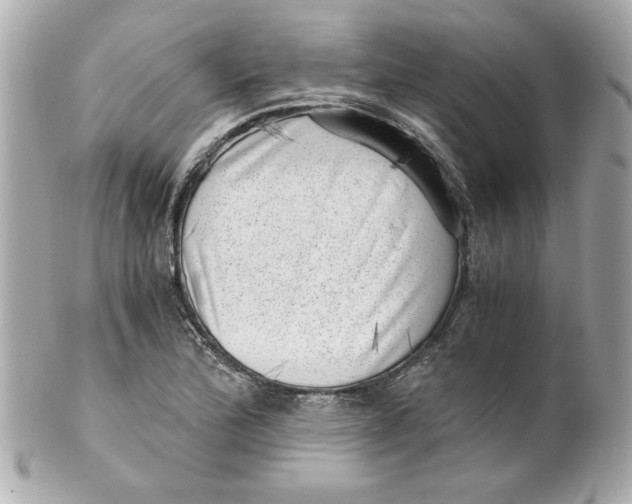 X0000101651172200807311407