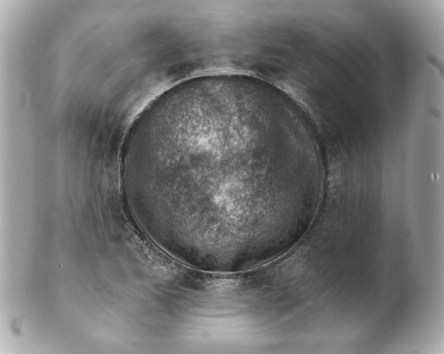 X0000101651173200807311407