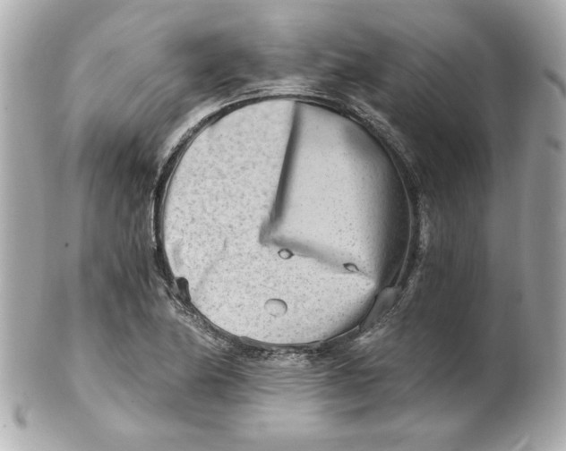 X0000101651174200807311407